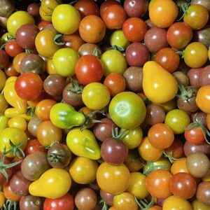 Tomatoes - cherry