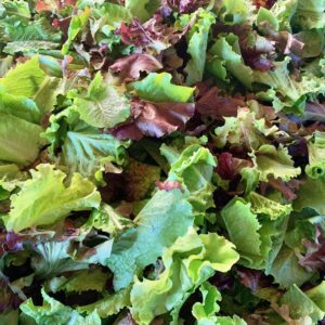 Seasonal Salad Mix