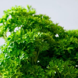 Parsley